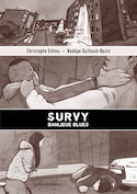 Survy, banlieue blues
